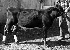 rawmilkfedcalf5months